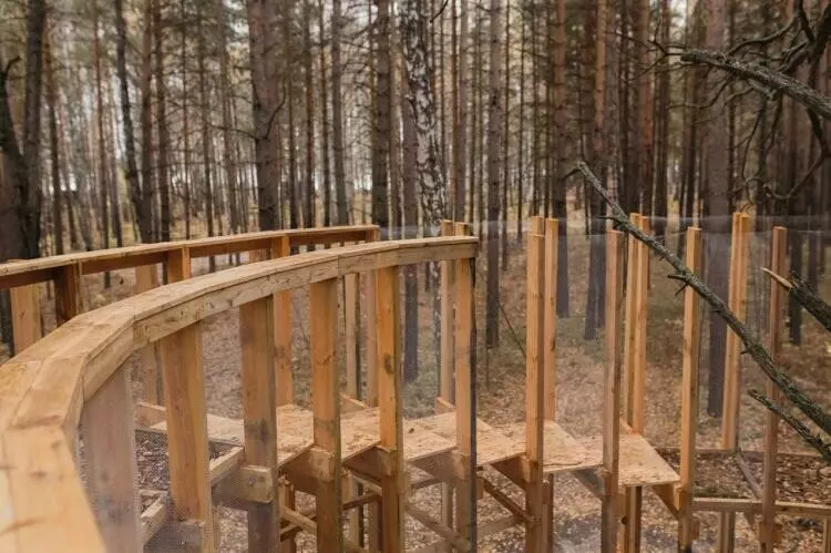 Картинка №24 для публикации «Тюменская область привлекает туристов»