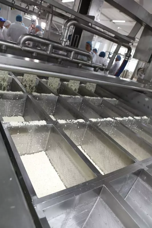 Картинка 4 для поста «сельское хозяйство: СХАО Белореченское запустило сырный цех в Иркутской области»