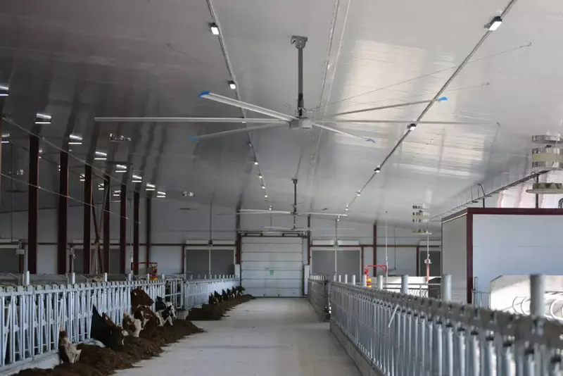 Новая ферма введена в эксплуатацию в Амурской области