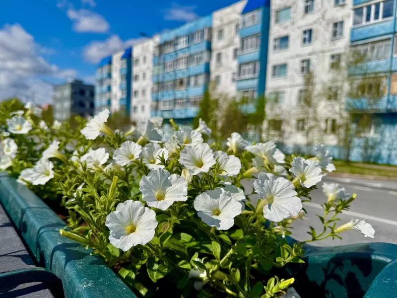 Муравленко