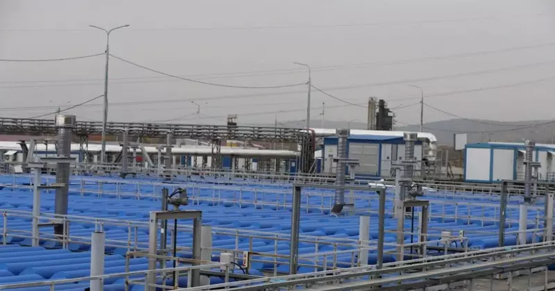 Фото #16 для «В регионах Сибири реализованы крупные экологические проекты»