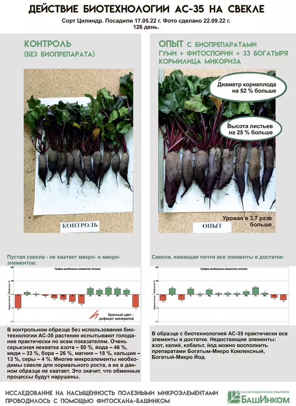 Фото 2 для публикации «урожай: Ученые нашли способ сделать урожай намного полезнее»