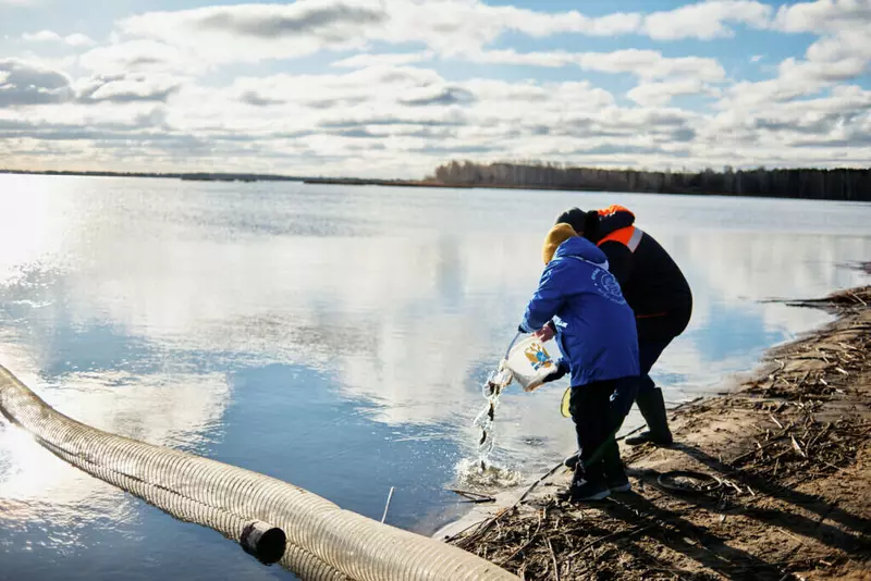 Рыборазводные заводы Росрыболовства перевыполняют планы