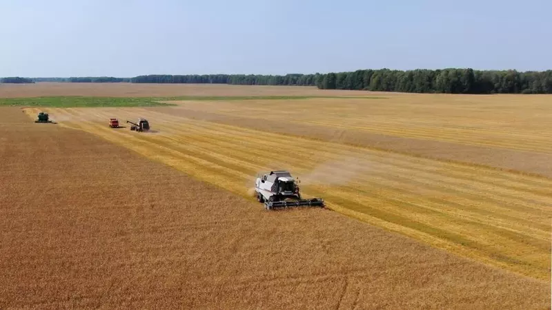 Изображение №1 для новости «Статистика: Иркутская и Тюменская области добились рекордного урожая в 2025 году»