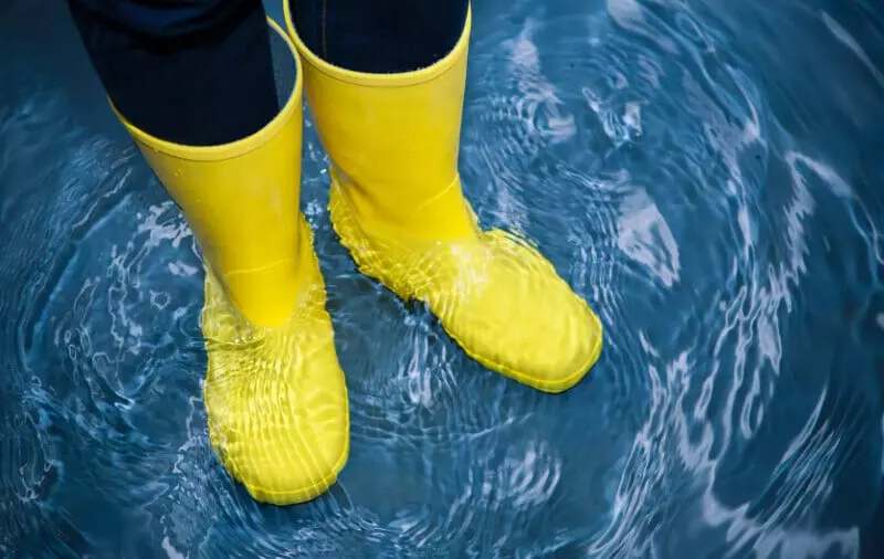 Изображение №2 для «лёгкая промышленность: ПКФ Сардоникс открыл три новых цеха в Астраханской области»