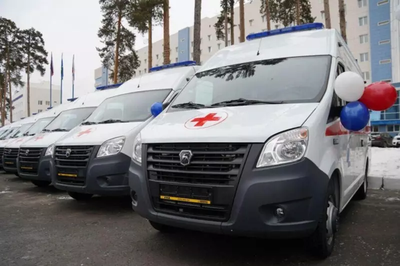 В первой половине декабря 2024 года в медучреждения регионов РФ поступили новые автомобили