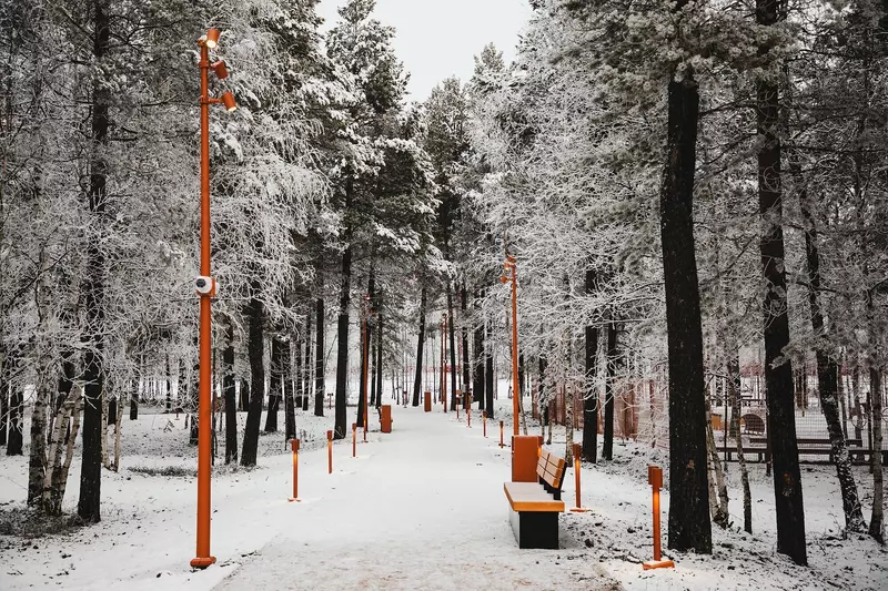 Картинка №45 для публикации «Четыре новых парка благоустроено в Ноябрьске»