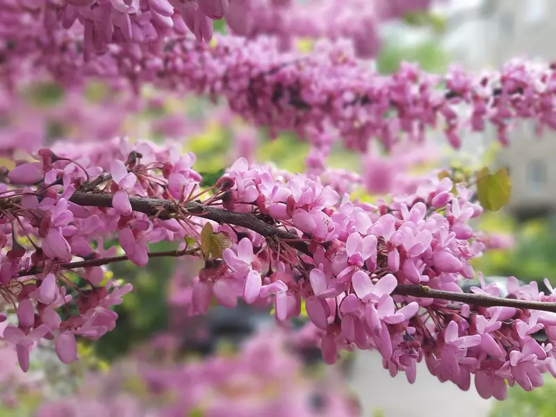 Фото №48 для новости «Крым своими глазами»