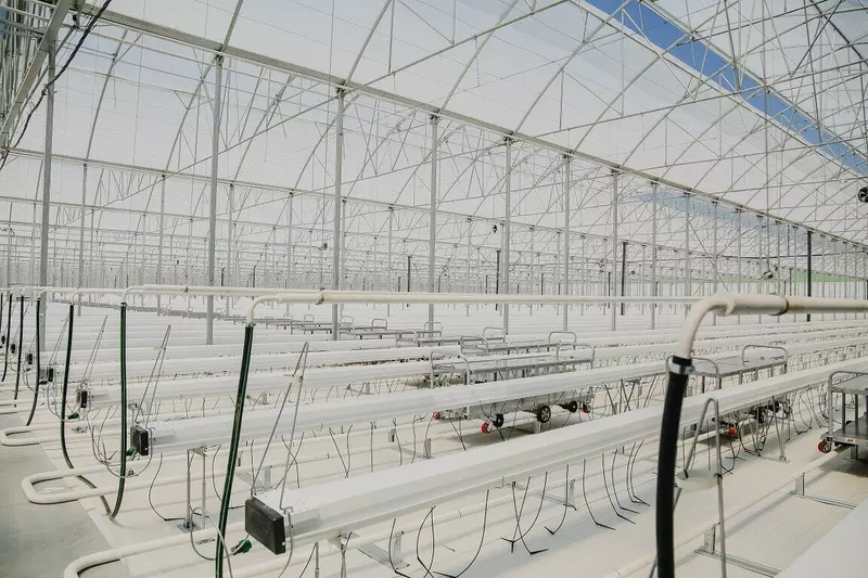 В Кабардино Балкарии открылась первая очередь крупного тепличного комплекса