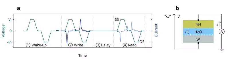 Изображение №3 для «перспективные разработки: Сегнетоэлектрическую память сделали рекордно выносливой»