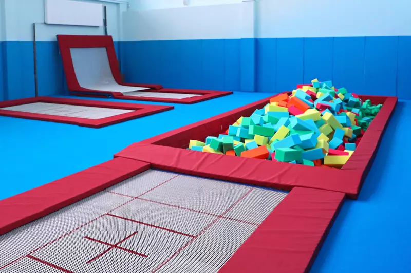 Фото №3 для поста «Ленинградская область: В Пушкине Ленинградской области открыто новое здание Школы олимпийского резерва»