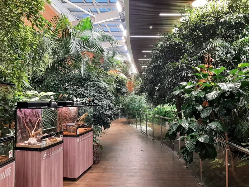 Тропическая оранжерея (фото автора)