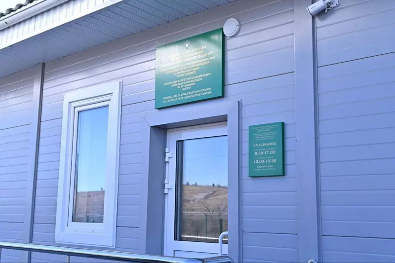 #5 для статьи «В Бурятии на границе с Монголией открылся новый таможенно логистический терминала Кяхта»