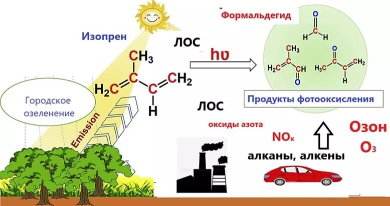 Изопрен формальдегид