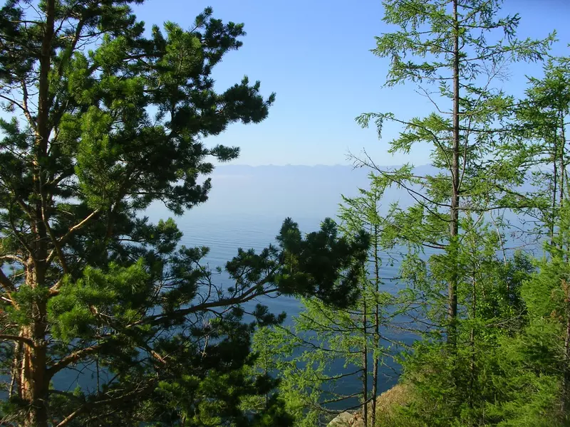 Иллюстрация #31 для новости «День Байкала»