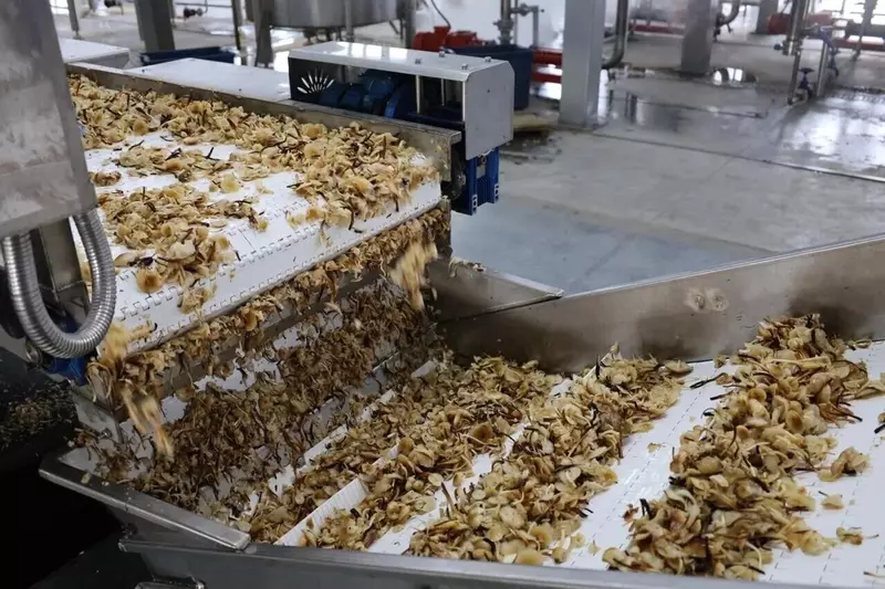 №1 для статьи «Новые заводы и цеха: В Усть Лабинске расширили производство консервированных грибов»