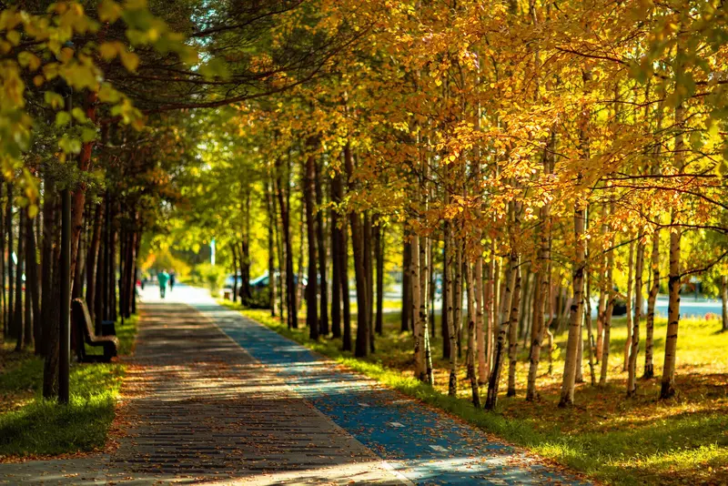 Картинка 80 для статьи «Ямальский меридиан 16»