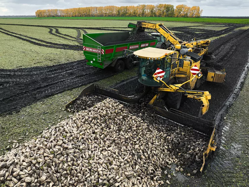 Фото #16 для «Сахара хватит на всех или как его производят на предприятиях ГК Продимекс»