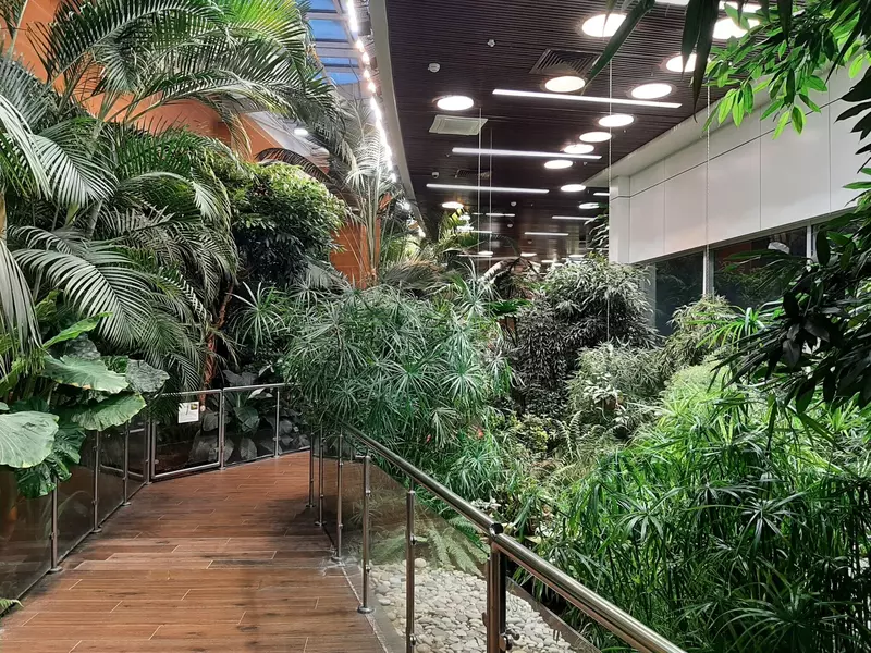 Тропическая оранжерея (фото автора)