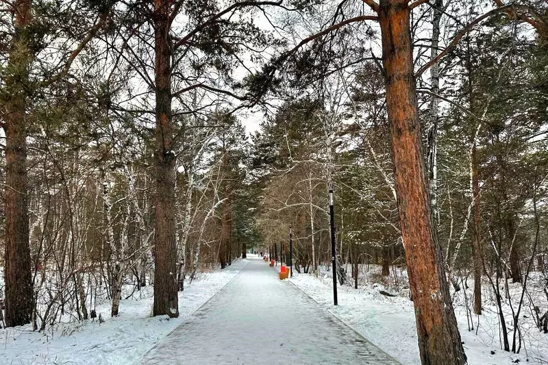 Фото №29 для поста «Развитие Сибири часть 4»