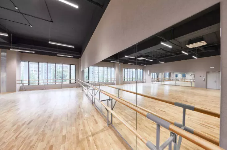 Иллюстрация №8 для статьи «Строительство ледового дворца в районе Ясенево города Москвы завершено»