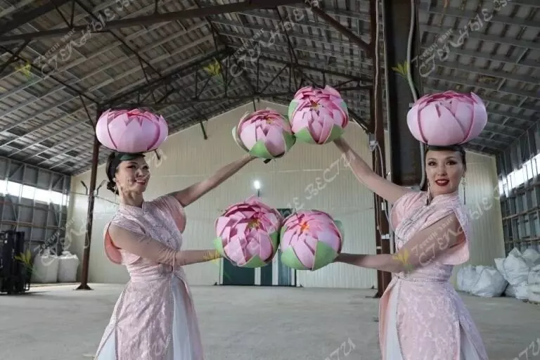 #2 для статьи «Калмыкия: В Калмыкии запустили завод по производству кормов для скота из камыша»