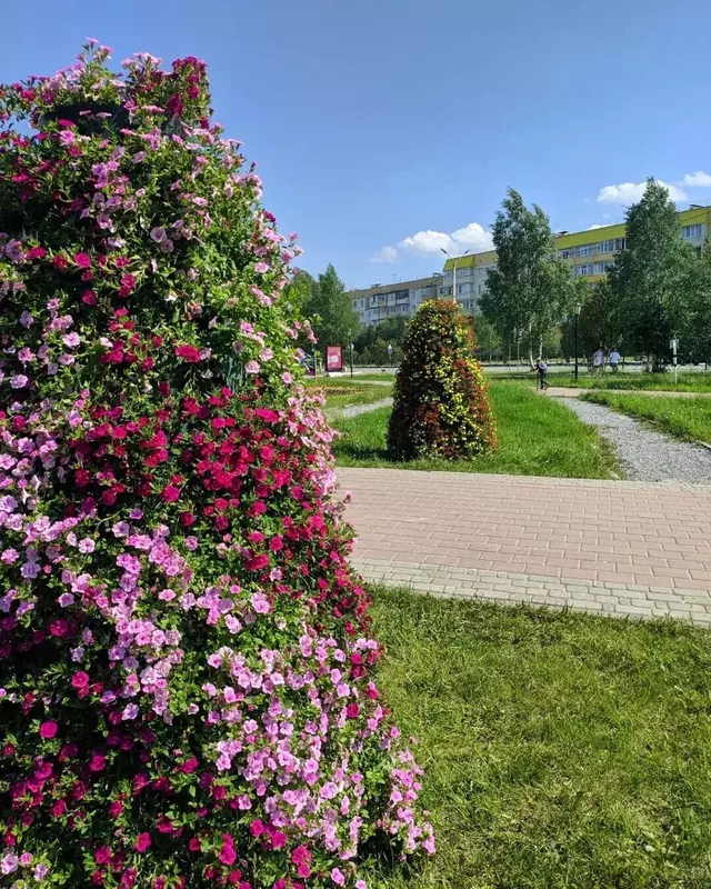 Иллюстрация №44 для поста «Как меняется Ямал Ноябрьск часть 3»