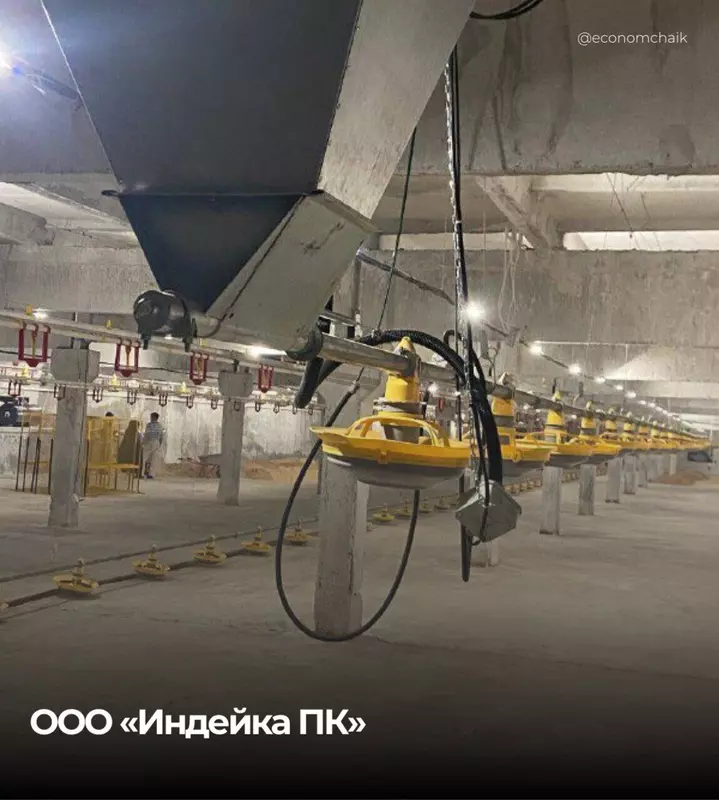 Изображение №1 для публикации «Новые и модернизированные предприятия агропрома: В Пермском крае запустили крупнейший в России комплекс на 24 тысячи индеек»