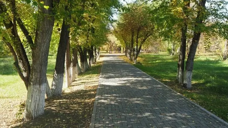 Картинка 24 для публикации «Ялуторовск блинная столица России»