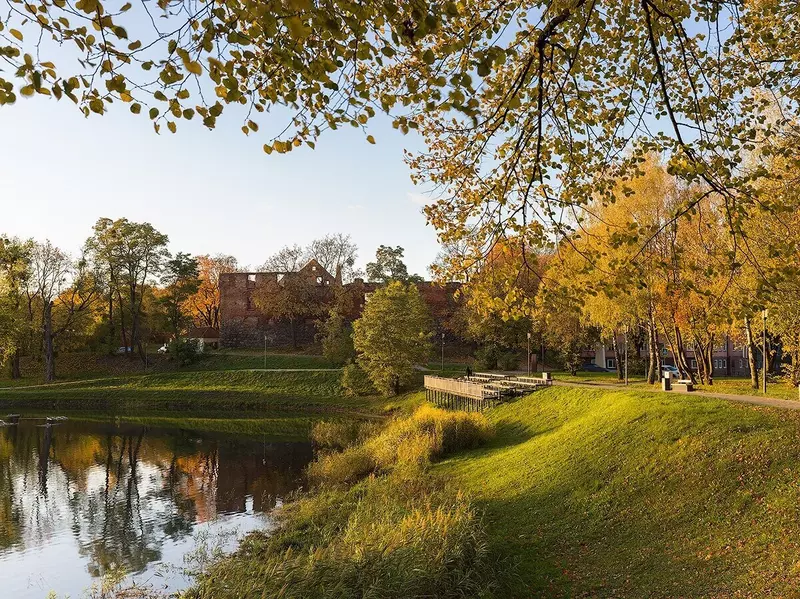 Картинка 43 для новости «»