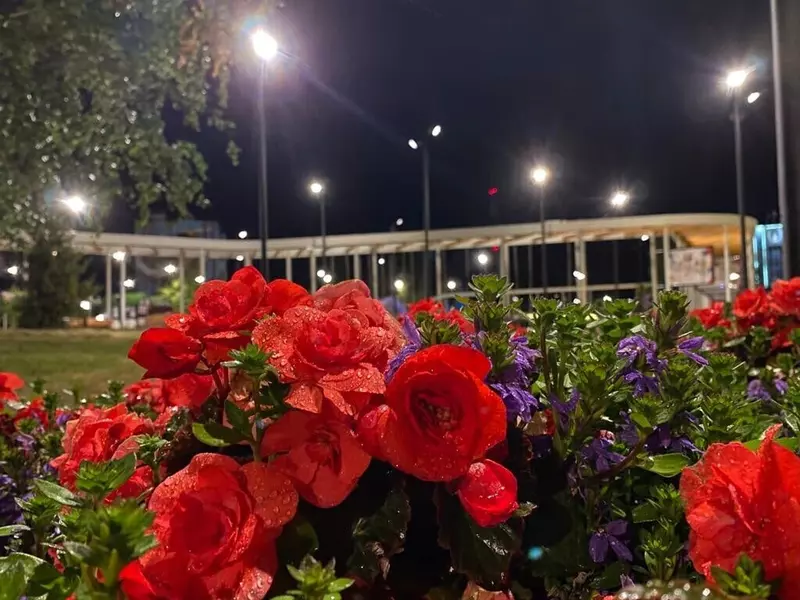 Иллюстрация 84 для статьи «Как меняется Ямал Ноябрьск часть 2»