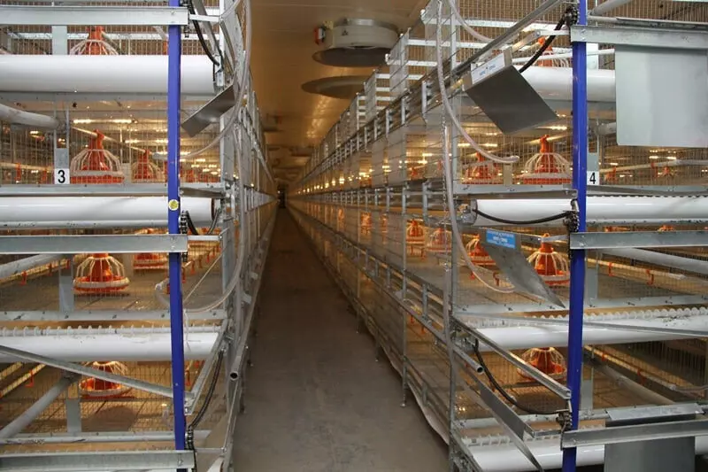 Энергогазсервис запустил производство оборудования для содержания птицы в Свердловской области