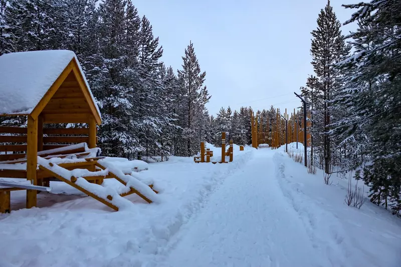 27 для новости «Ямальский меридиан 24»