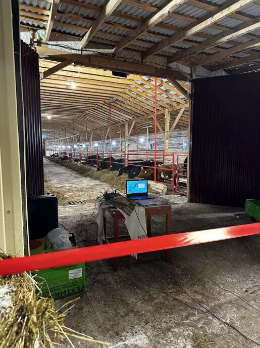 СПК Пожег открыл новый телятник на 200 голов в Республике Коми