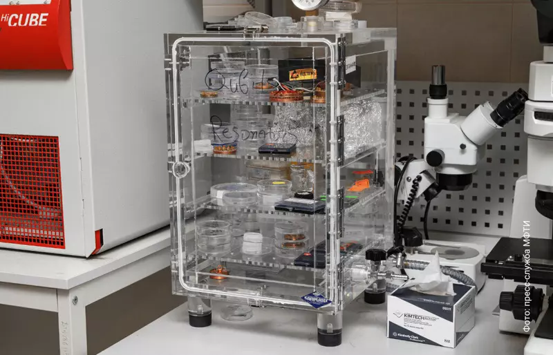 Картинка №3 для новости «изобретения: Создано первое скоростное компактное устройство для квантового процессора»