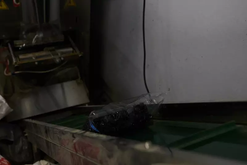 Фото №11 для новости «Технопласт»