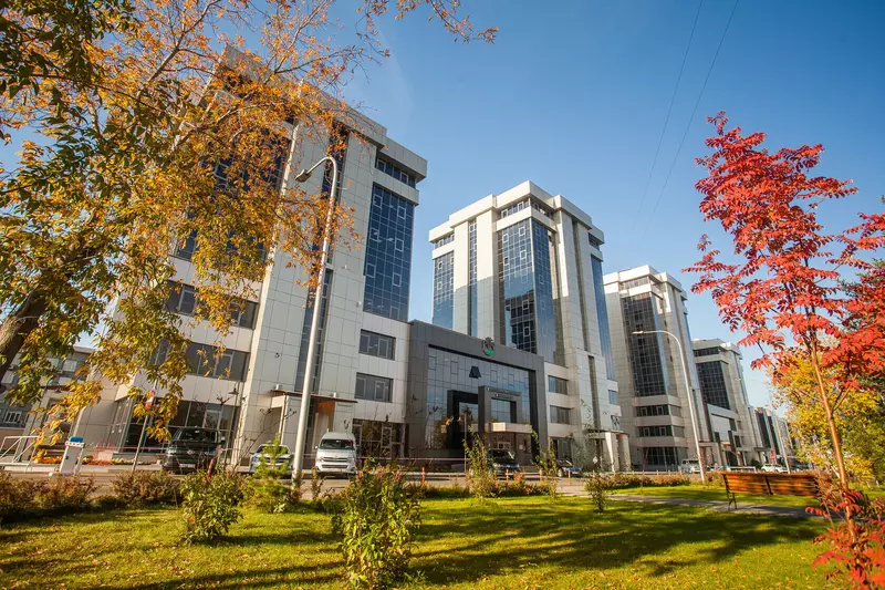 Иллюстрация #35 для новости «Новая экономика Прибайкалья часть 2»