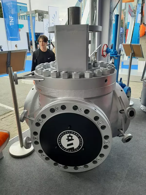 Продукция ИЦ "Кронштадт" (фото автора)