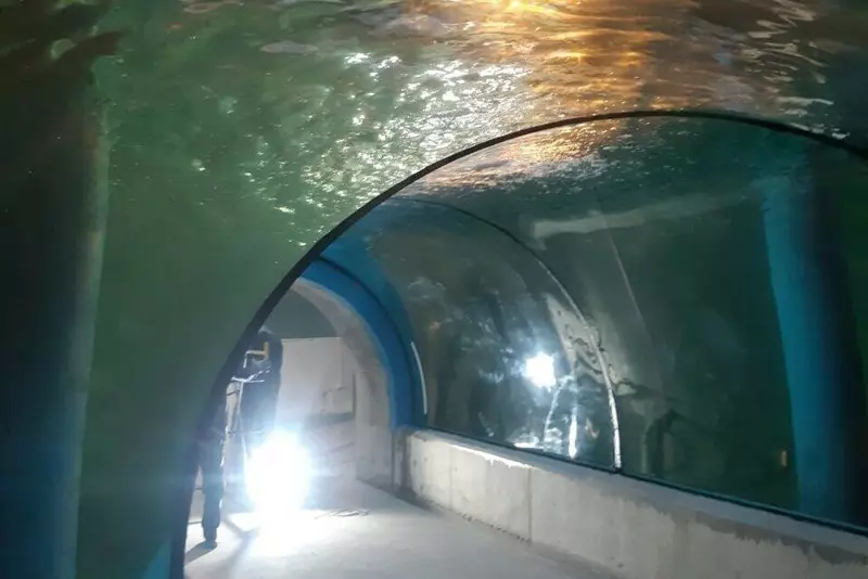 Изображение 3 для поста «Ход строительства Музея Мирового океана в Калининграде»