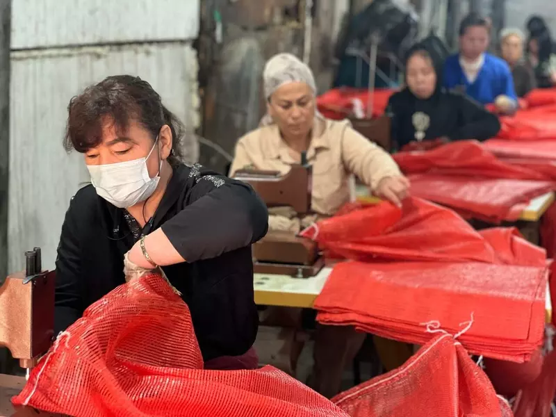 Картинка №3 для «Новое производство: В Забайкалье запустили первый завод по производству фасовочных сеток»