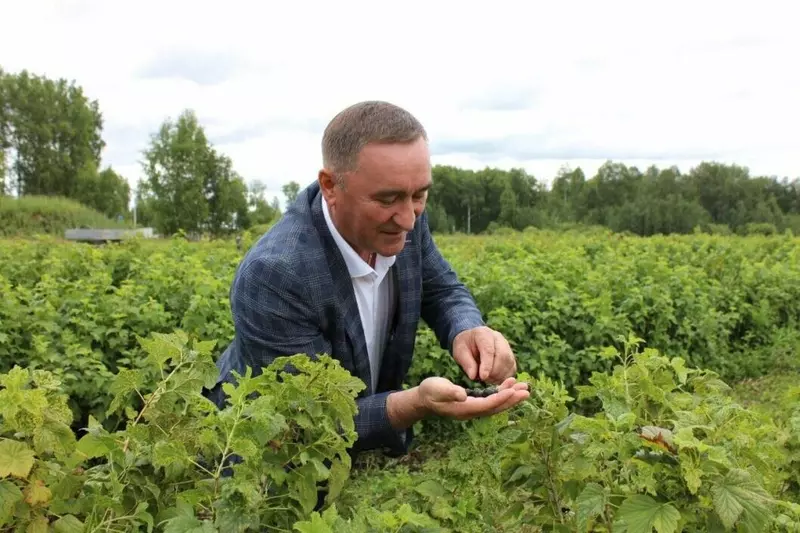 Фото 40 для статьи «Тюменское импортозамещение часть 18»