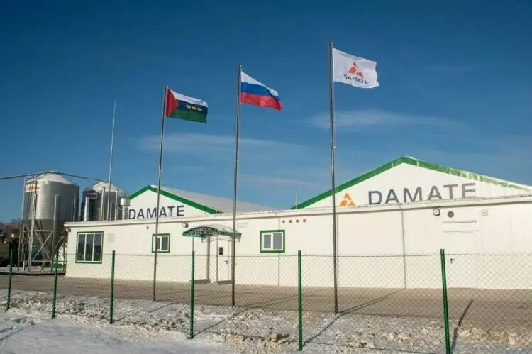 Иллюстрация #1 для новости «Новые и модернизированные предприятия агропрома: В Тюменской области запущен племенной репродуктор индейки»