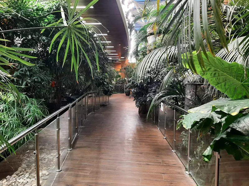 Тропическая оранжерея (фото автора)