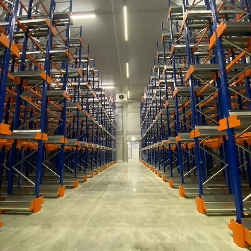 В Московской области запущена первая очередь холодильно складского комплекса для рыбной продукции