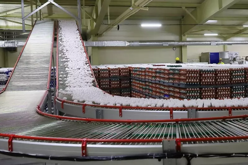 СХ АО Белореченское открыло новый цех на птицефабрике в Приангарье