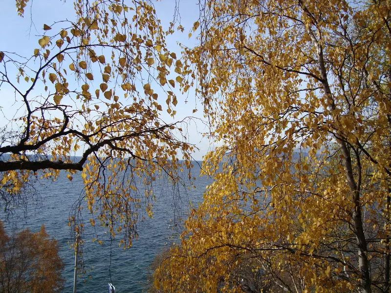 #2 для публикации «Рыбоводство: День Байкала»