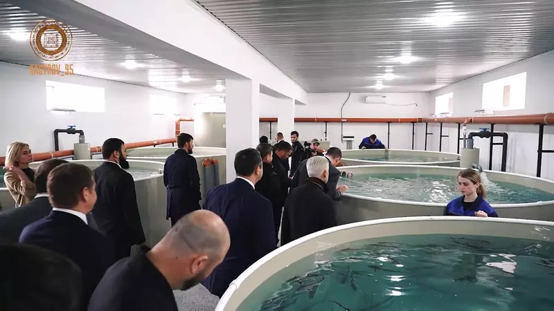 Изображение #4 для новости «В Итум Калинском районе Чеченской Республики открыли крупное рыбное хозяйство»
