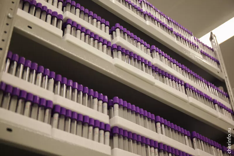 Картинка #2 для новости «Вологодская область: В Череповце появилось предприятие по выпуску медицинских пробирок»