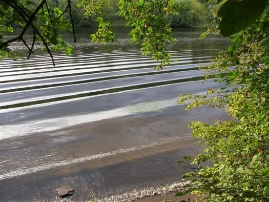 Картинка №13 для новости «Отечественный биопрепарат для борьбы с сине зелеными водорослями в водохранилищах»