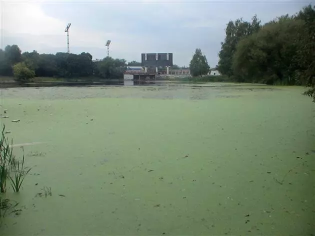 Отечественный биопрепарат для борьбы с сине зелеными водорослями в водохранилищах